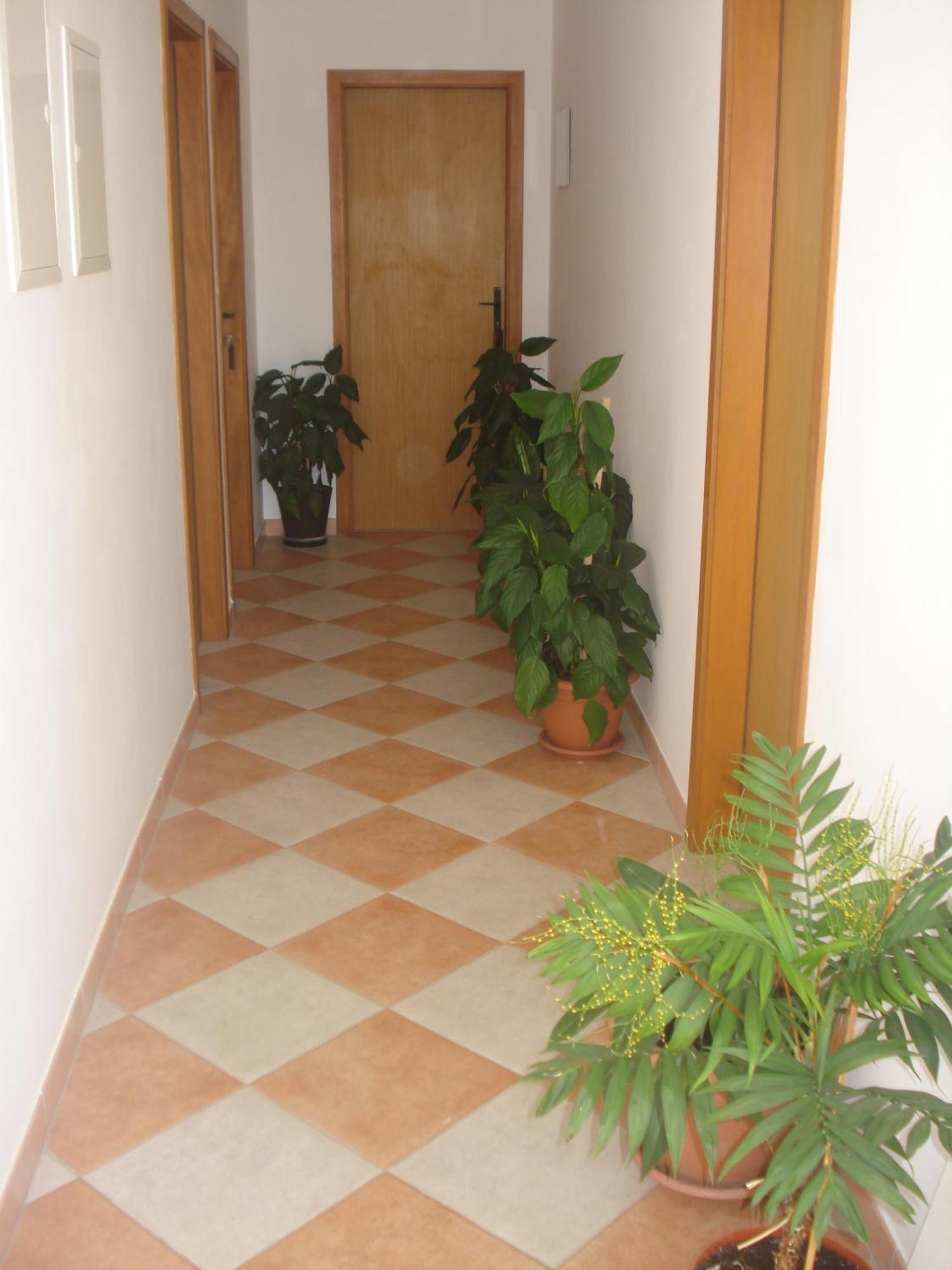 Apartments San Giorgio Sućuraj 외부 사진